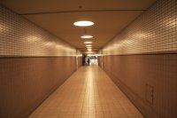 IMG_0132.JPG